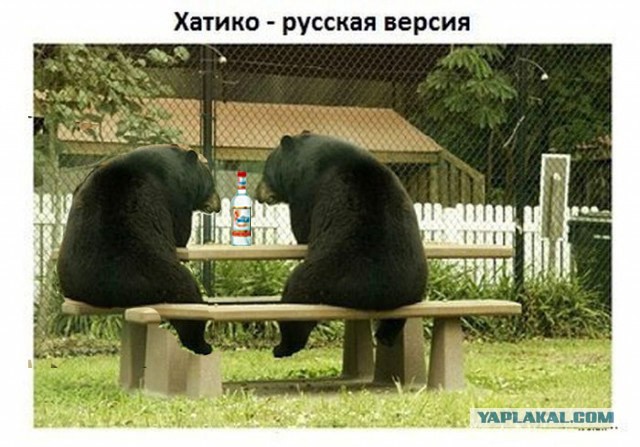 Хатико. Русская версия.