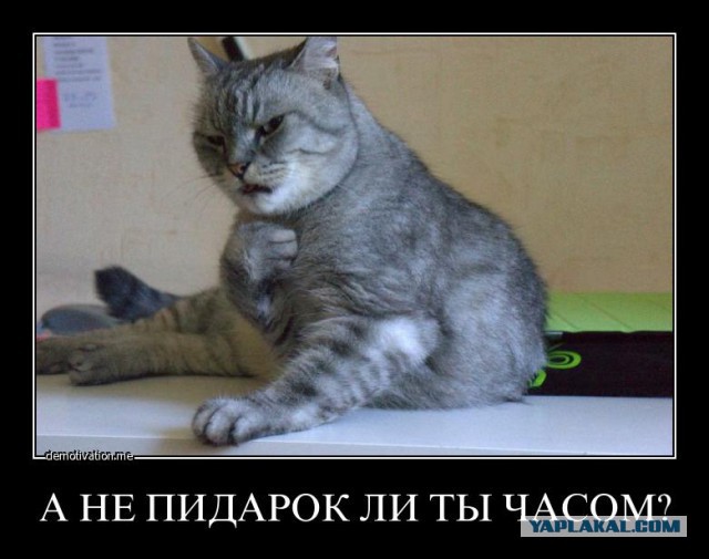 Заявление президента Латвии