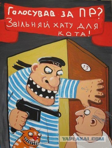 Предвыборный юмор по-украински (коте одобряет)