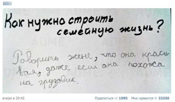 Смешные комментарии из социальных сетей