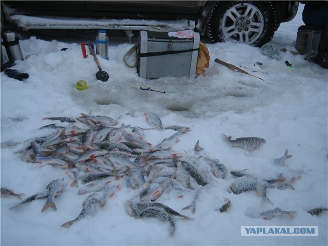 Рыбалка в глухозимье...