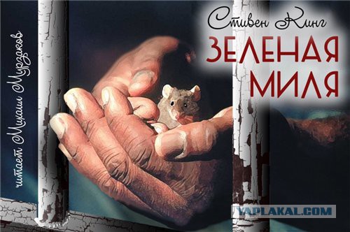 Как я спас крысу, которая спасла меня
