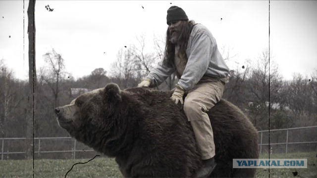 Китайцы жгут! Настоящий дачный внедорожник