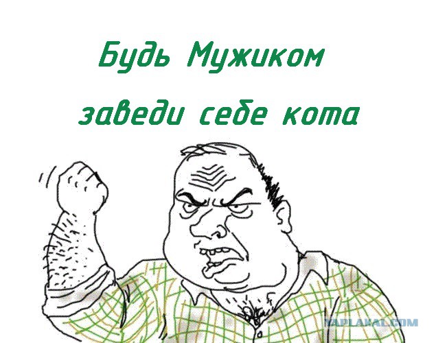 Кто съел сметану?