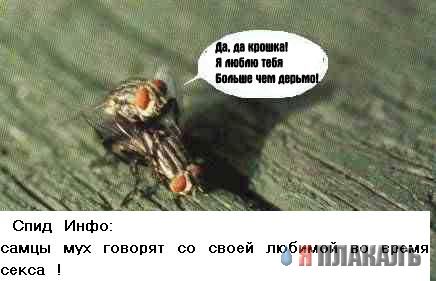 Фотожаба: Желтая пресса