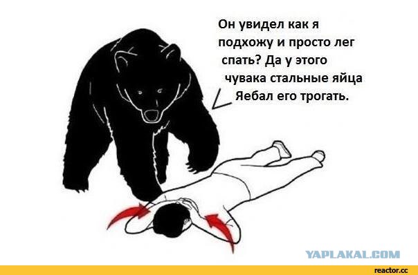"Выживший-2": Лесник в Башкирии прикинулся мертвым и выжил после нападения разъяренной медведицы