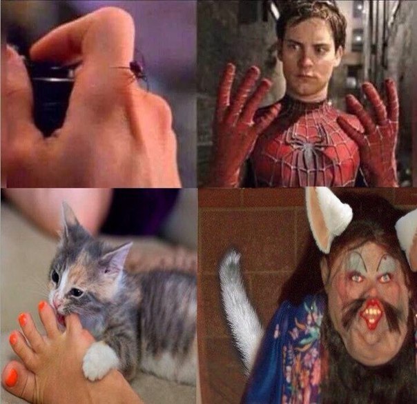 Юмор для всех