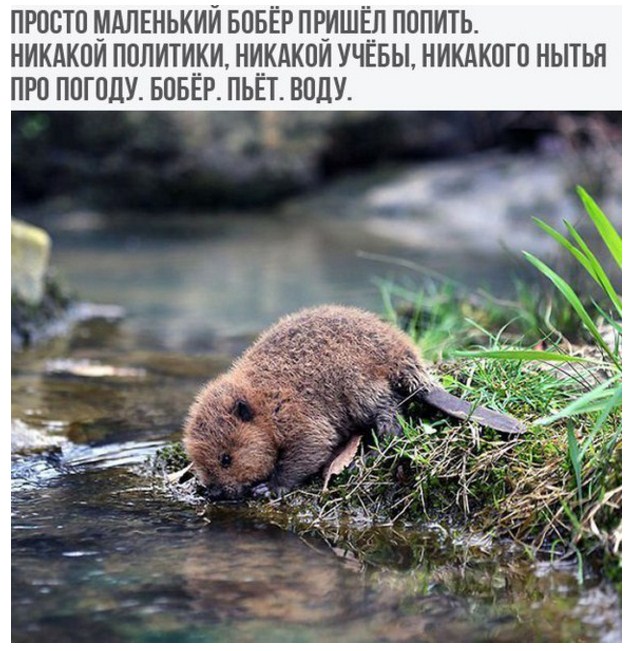 Подборка интересных и веселых картинок