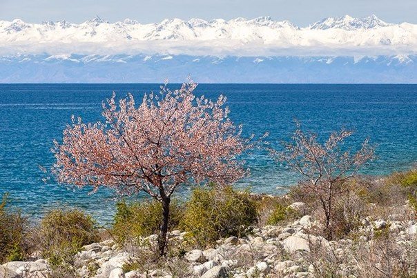 Моменты, запечатлённые на фото и просто позитив 5