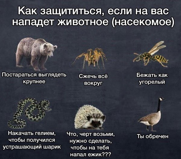 Черненький и абсурдненький юморочек