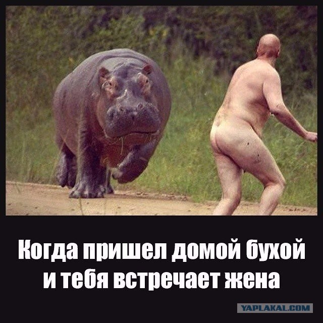 Подборка интересных и веселых картинок