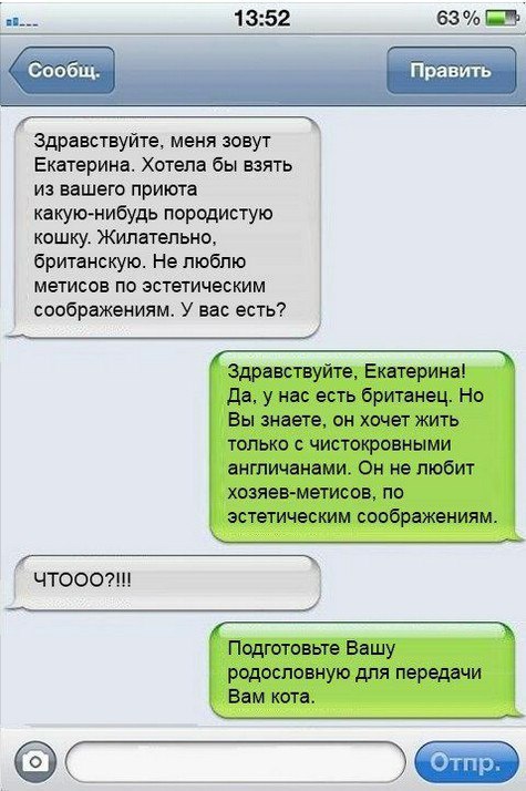 Нас преследует лайтовая воскресная деградация!