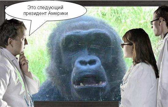 Фотожаба: Что увидели врачи?