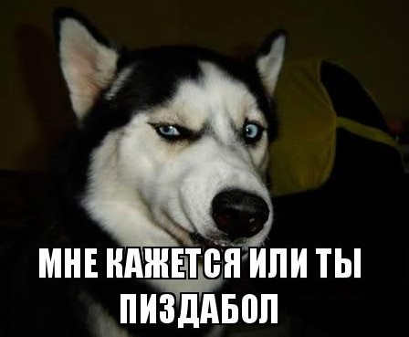 Буйный носорог