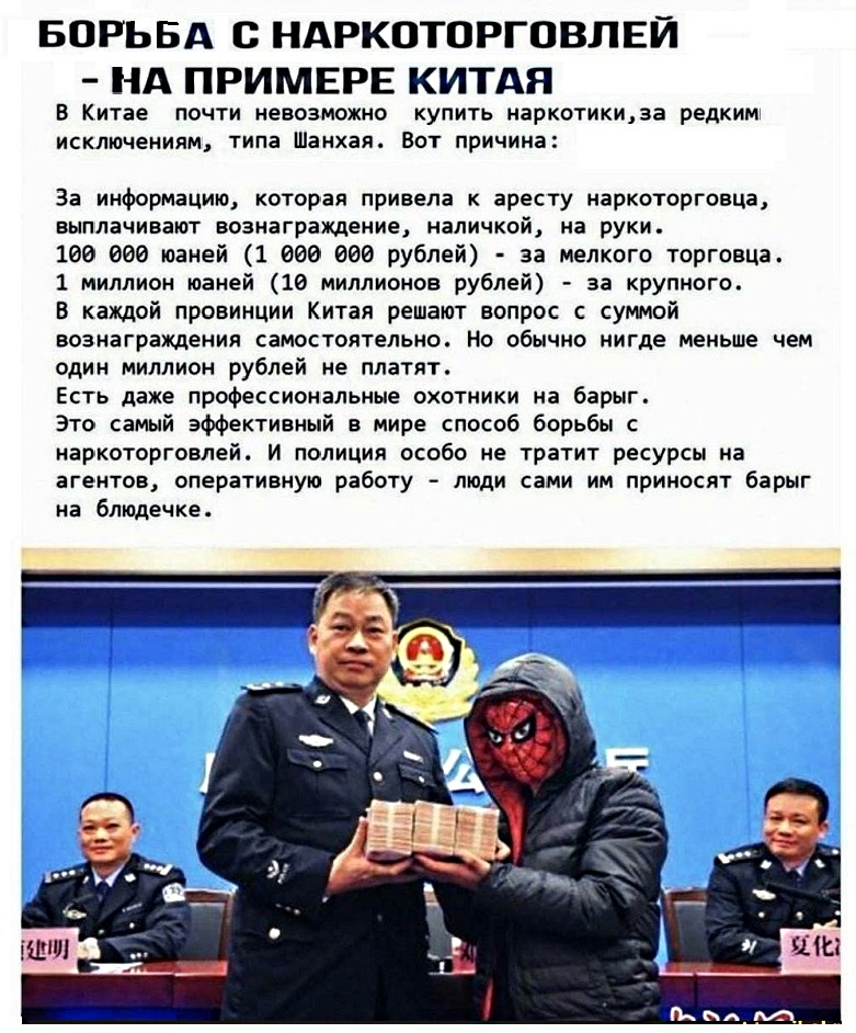 15427333.jpg