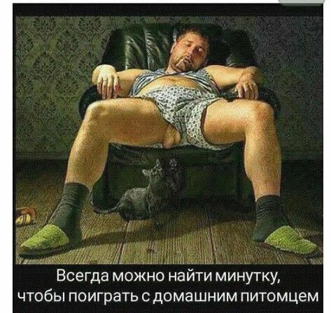 Спящий красавец...