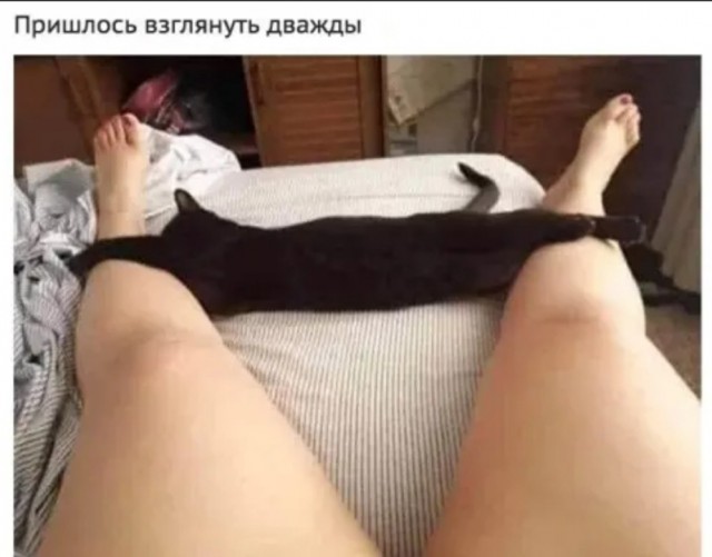 Так себе картинки 01.05.22