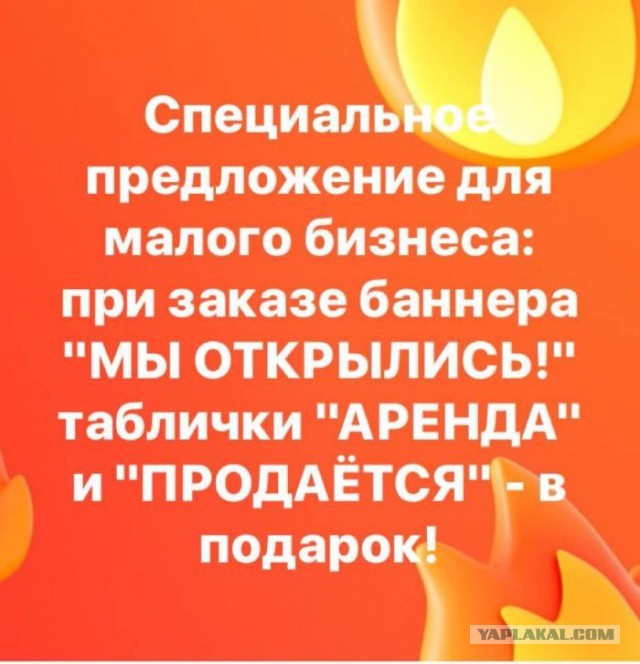 Перлы 10.12.22