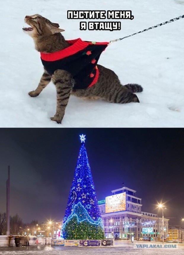 Покажи мем нового года не будет Ты подарки нам принес!" Какие новогодние подарки мы дарим своим близким Новый