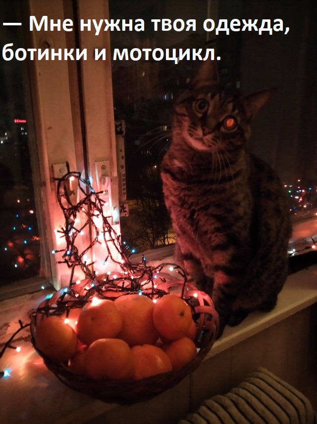 Милла Йовович с дочками желает вам счастья в новом году