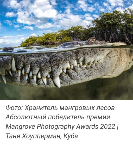 Иди на завод!