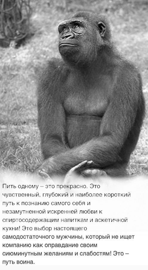 Так дальше жить нельзя. Перемен требуют наши сердца!