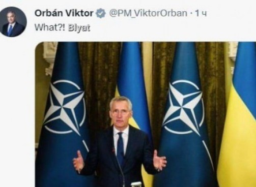 «Что?»