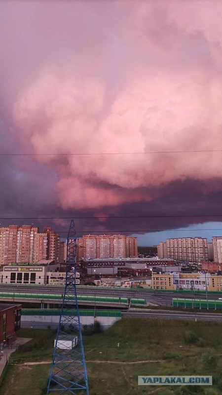 В Москве начинается маленький природный ад
