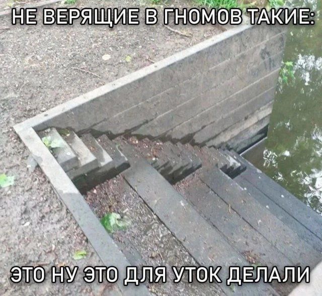 Немного забавных картинок от 01.09.2024
