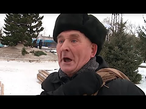 В NASA показали снимок звездного скопления, напоминающего новогоднюю ёлку