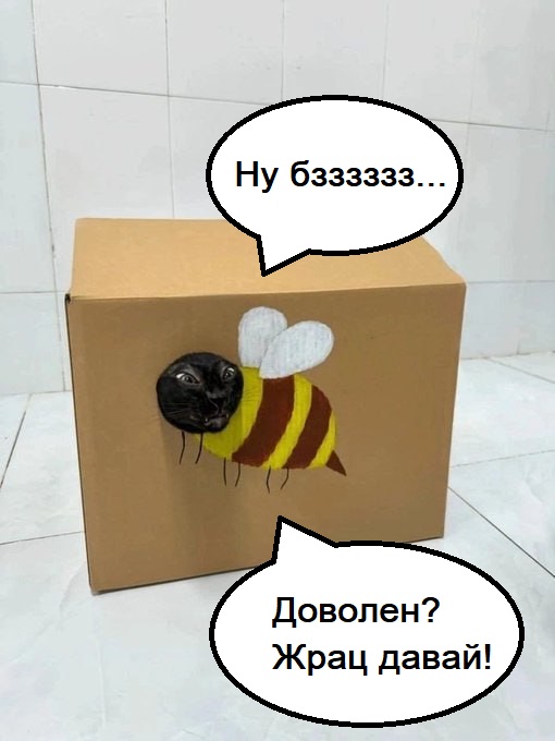 Так себе картинки 15.01.25