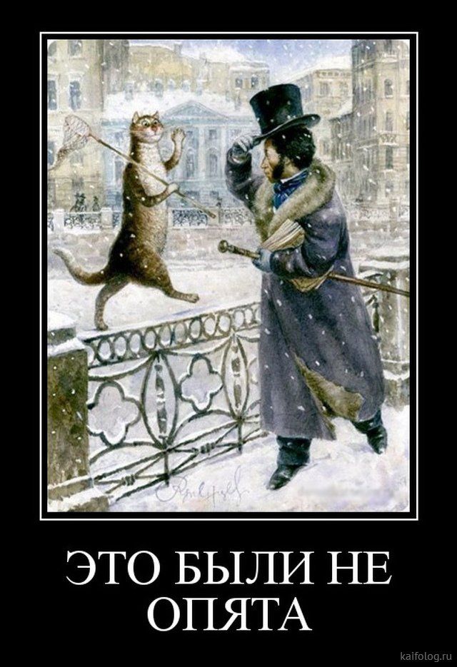 Прикольные и просто красивые картинки 11.04.2025