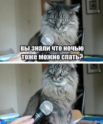 Пятничные бояны