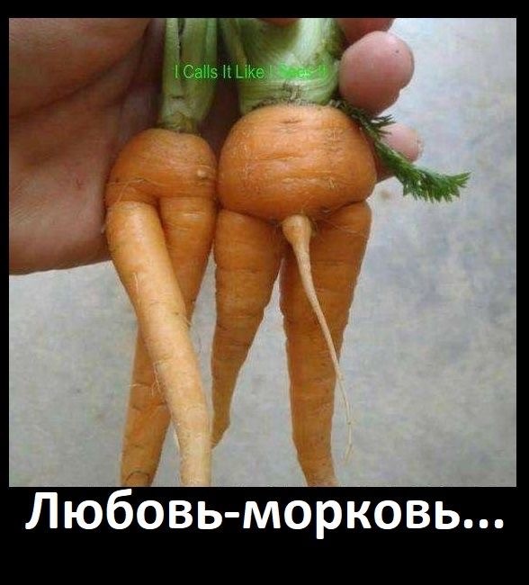 Так себе картинки 28.06.25