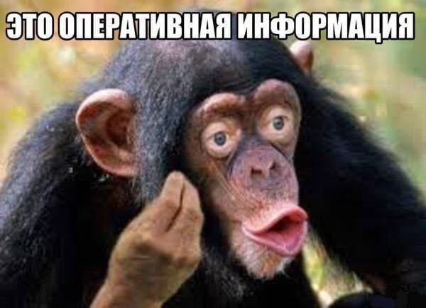 Дай чипсинку?
