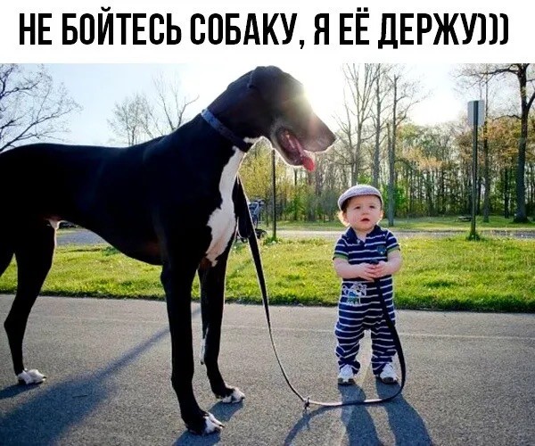 Немного картинок накануне выходных