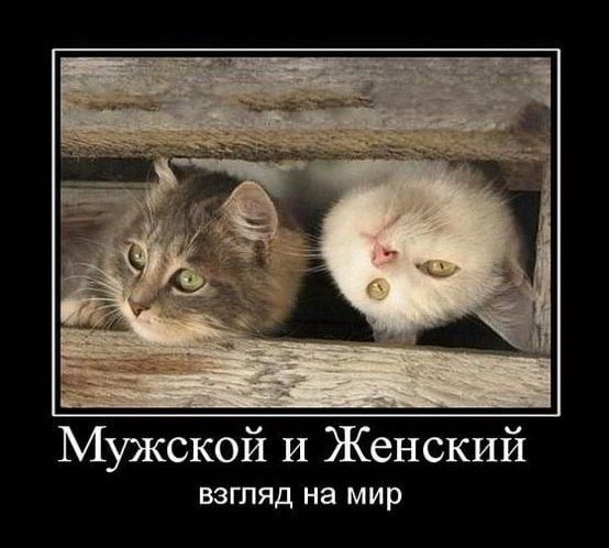 Вторник. Немного картинок