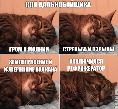 Платят много, а не идут. Дефицит дальньнобойщиков усиливается