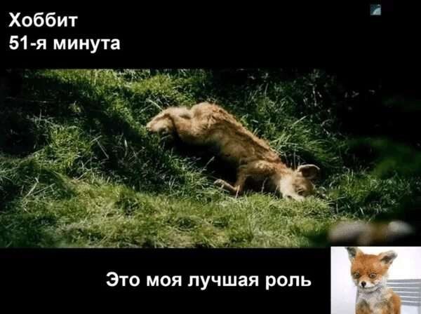 Да очухается