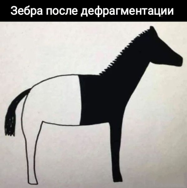 Так себе картинки 22.10.26