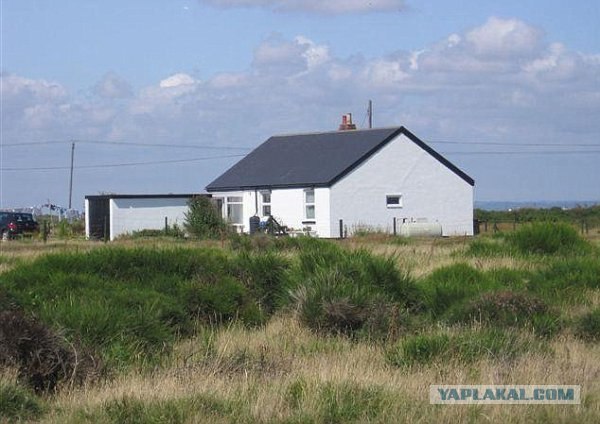 Домик в "заповеднике" (9 фото)