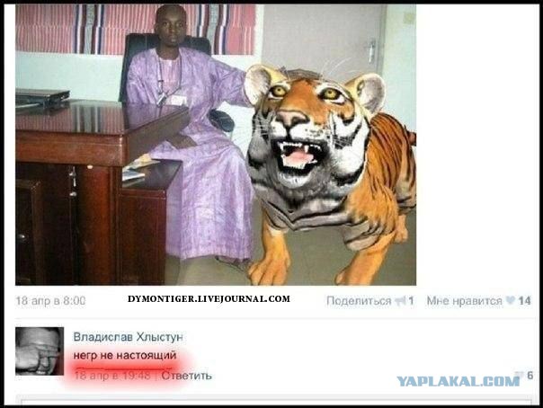 Смешные комментарии из социальных сетей