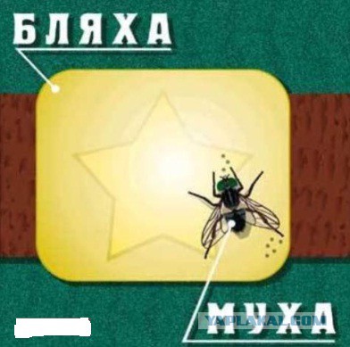 Любителям хитросплетений русского языка