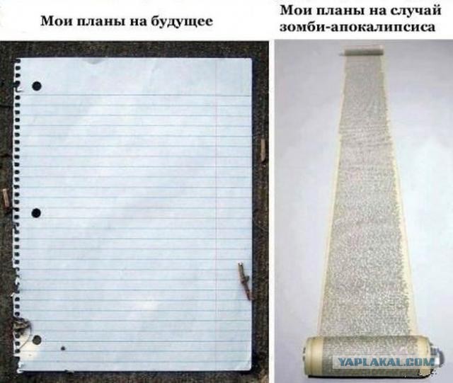Картинки