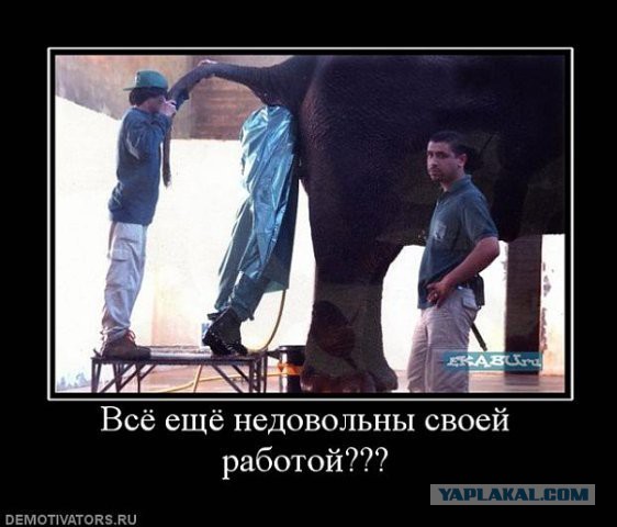 Поднимаем настроение