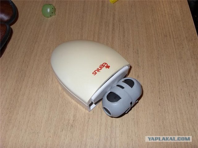 Насекомые из компьютерного железа