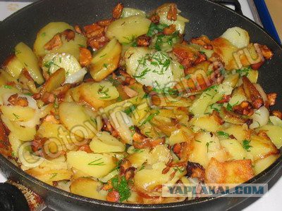 Плюсомет со шпалометом