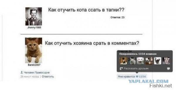 Пятница, картинки для поднятия настроения