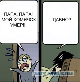 Хомяк умер