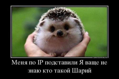 Вычислю по IP